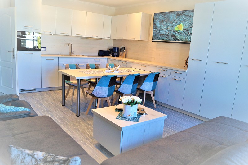 1Wohnraum-mit Küchenblick